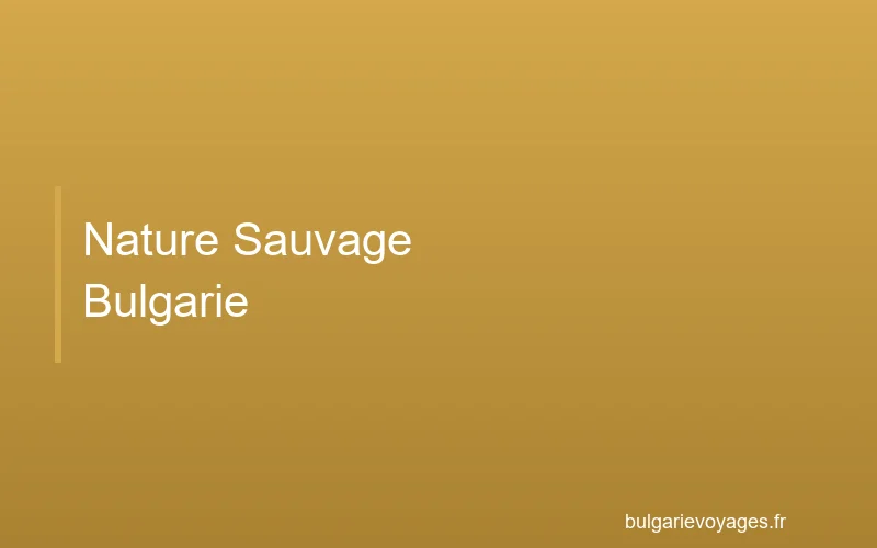 Nature sauvage de Bulgarie, forêts et rivières préservées