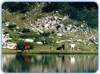 Parc national de Rila Bulgarie